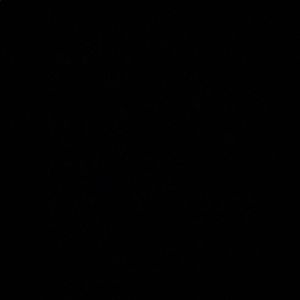 Meet your Posher, Mariah